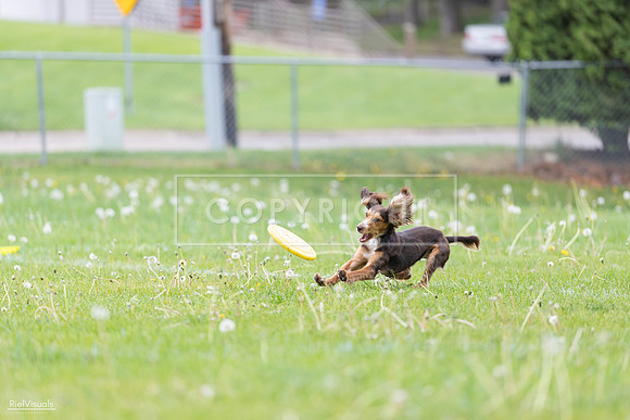 RielVisuals_20260518_174843_SJR_1406
