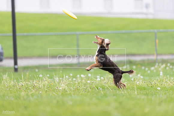 RielVisuals_20260518_174909_SJR_1459