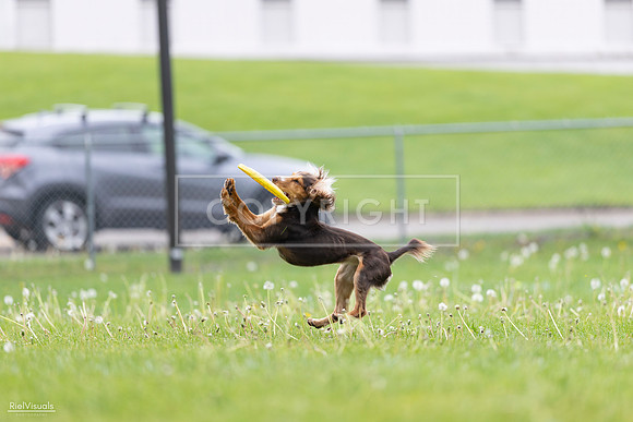 RielVisuals_20260518_174910_SJR_1460