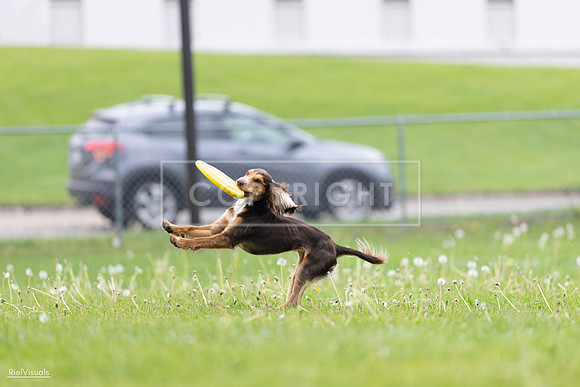 RielVisuals_20260518_174910_SJR_1462
