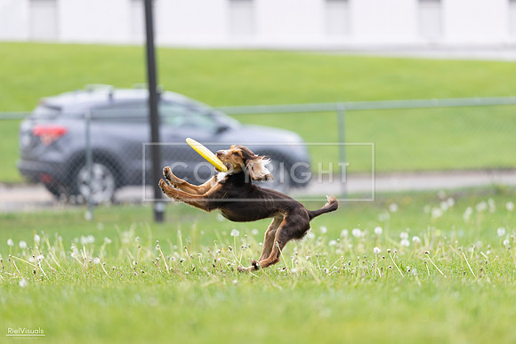 RielVisuals_20260518_174910_SJR_1461