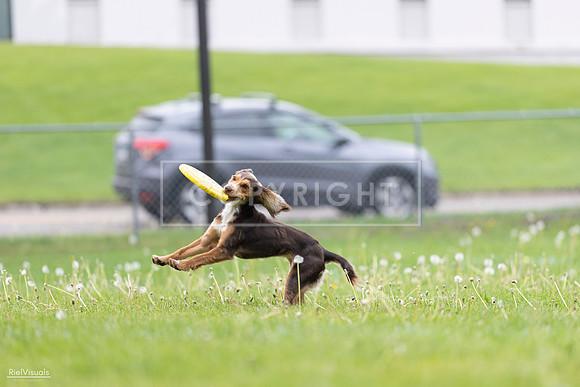 RielVisuals_20260518_174910_SJR_1463