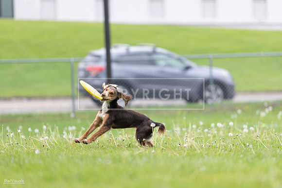 RielVisuals_20260518_174910_SJR_1464