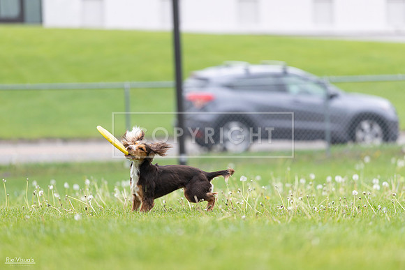 RielVisuals_20260518_174910_SJR_1466