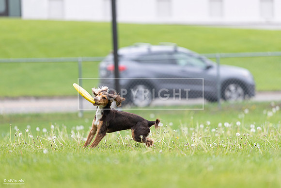 RielVisuals_20260518_174910_SJR_1465