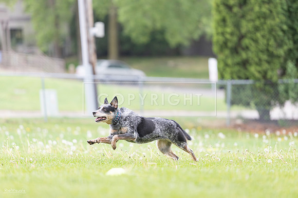 RielVisuals_20260518_175021_SJR_1492