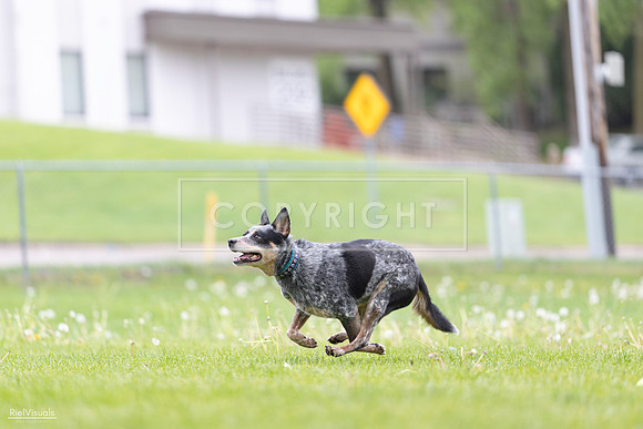 RielVisuals_20260518_175021_SJR_1500