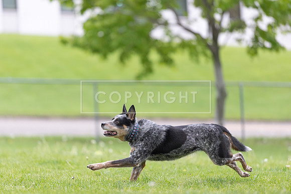 RielVisuals_20260518_175021_SJR_1518