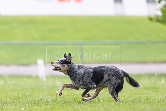 RielVisuals_20260518_175021_SJR_1525