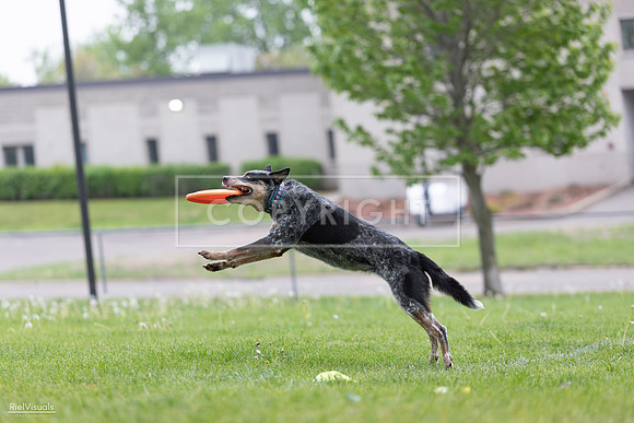 RielVisuals_20260518_175038_SJR_1540