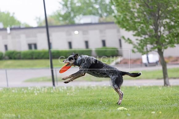 RielVisuals_20260518_175038_SJR_1542