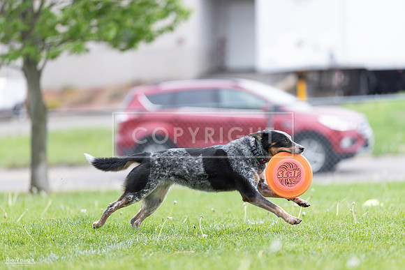 RielVisuals_20260518_175042_SJR_1570