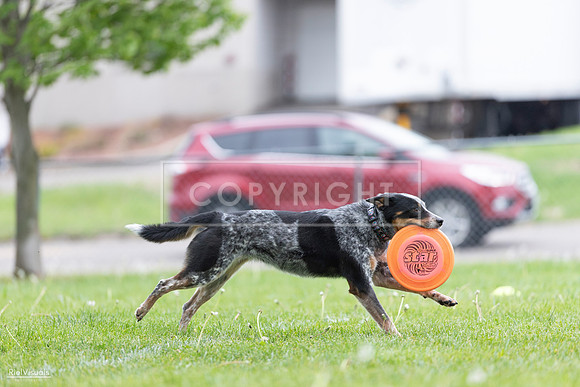 RielVisuals_20260518_175042_SJR_1571
