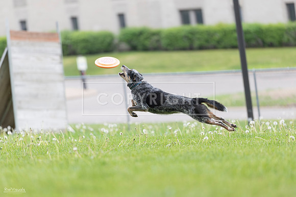 RielVisuals_20260518_175054_SJR_1608