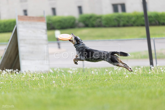 RielVisuals_20260518_175054_SJR_1609