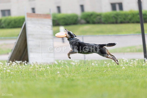 RielVisuals_20260518_175054_SJR_1610