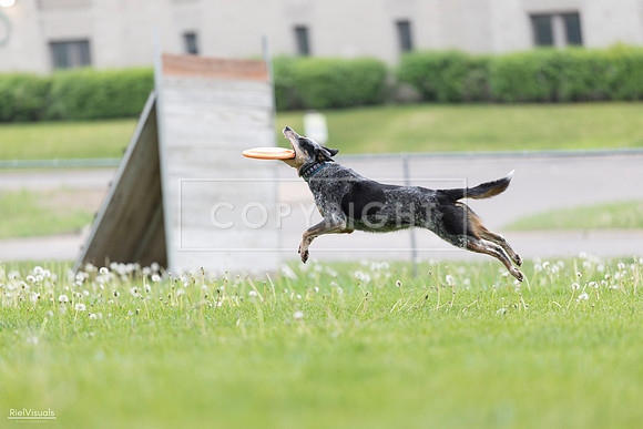 RielVisuals_20260518_175054_SJR_1611