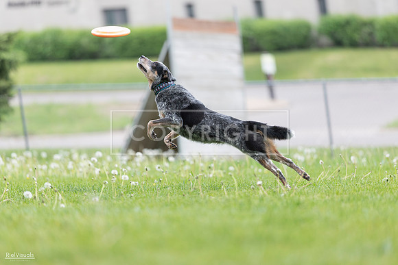 RielVisuals_20260518_175110_SJR_1640