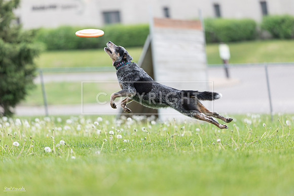 RielVisuals_20260518_175110_SJR_1641
