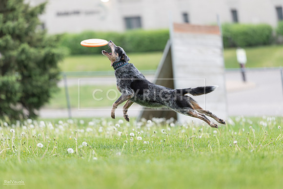 RielVisuals_20260518_175110_SJR_1642