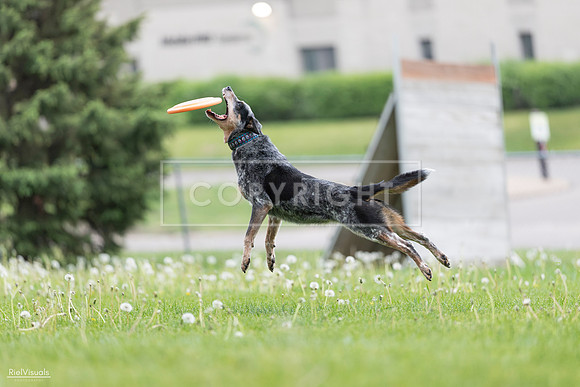 RielVisuals_20260518_175110_SJR_1643