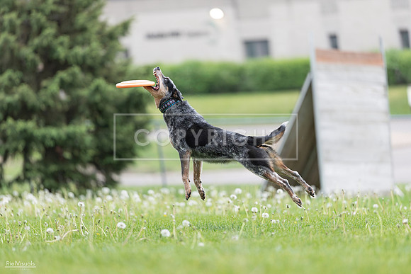 RielVisuals_20260518_175110_SJR_1644