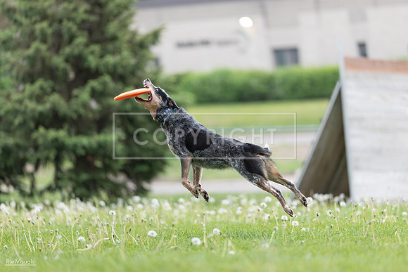 RielVisuals_20260518_175110_SJR_1645