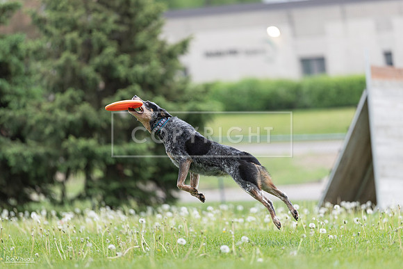 RielVisuals_20260518_175110_SJR_1646