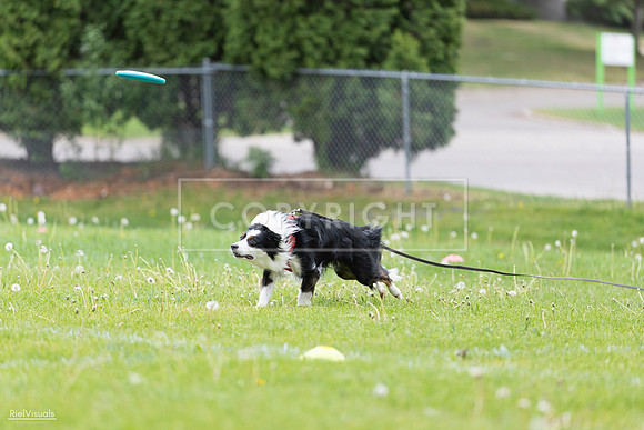 RielVisuals_20260518_175345_SJR_1699