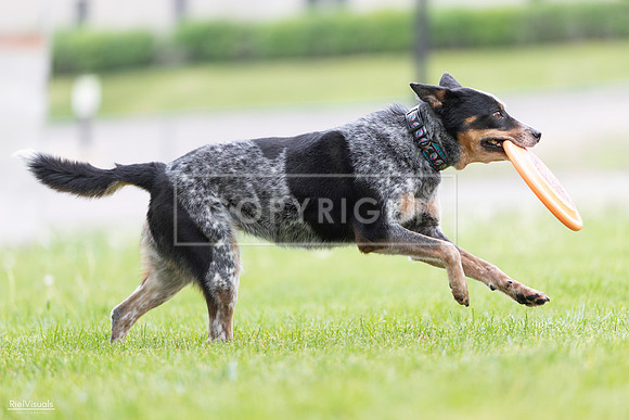 RielVisuals_20260518_175117_SJR_1684