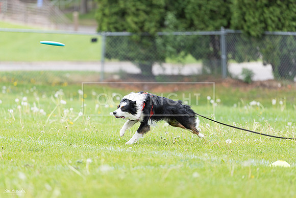 RielVisuals_20260518_175346_SJR_1707