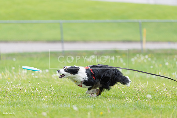 RielVisuals_20260518_175346_SJR_1730