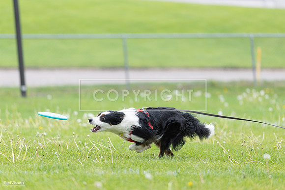 RielVisuals_20260518_175346_SJR_1731