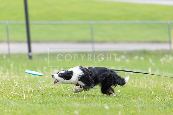 RielVisuals_20260518_175346_SJR_1732