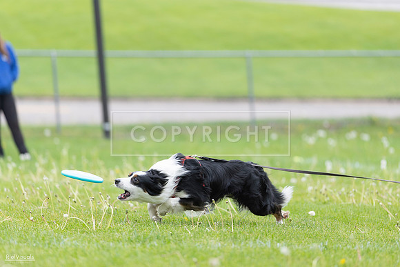 RielVisuals_20260518_175346_SJR_1733