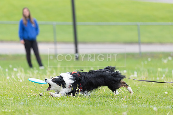 RielVisuals_20260518_175346_SJR_1735