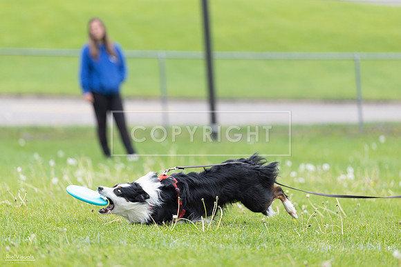 RielVisuals_20260518_175346_SJR_1736