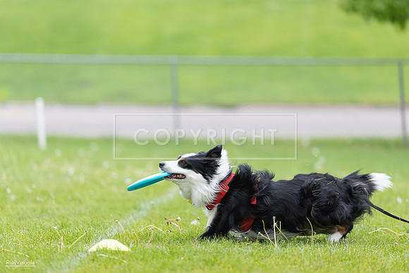 RielVisuals_20260518_175347_SJR_1754
