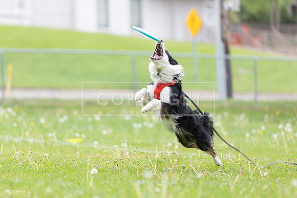 RielVisuals_20260518_175400_SJR_1769