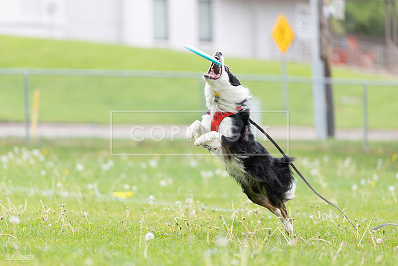 RielVisuals_20260518_175400_SJR_1770