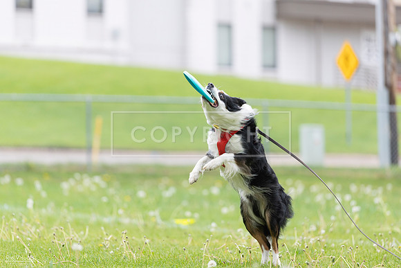 RielVisuals_20260518_175400_SJR_1773