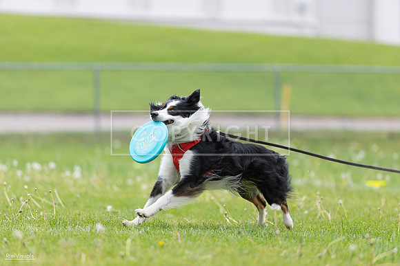 RielVisuals_20260518_175400_SJR_1783