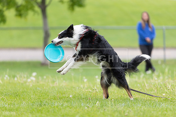 RielVisuals_20260518_175416_SJR_1826