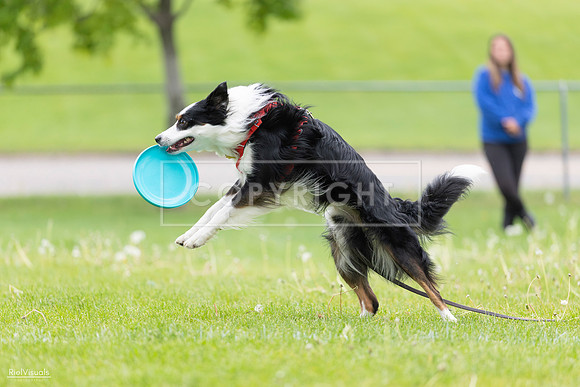 RielVisuals_20260518_175416_SJR_1827