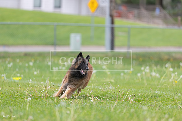 RielVisuals_20260518_175706_SJR_1844