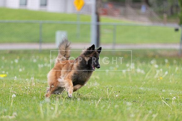 RielVisuals_20260518_175706_SJR_1853