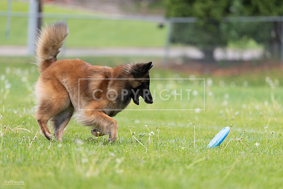 RielVisuals_20260518_175706_SJR_1865