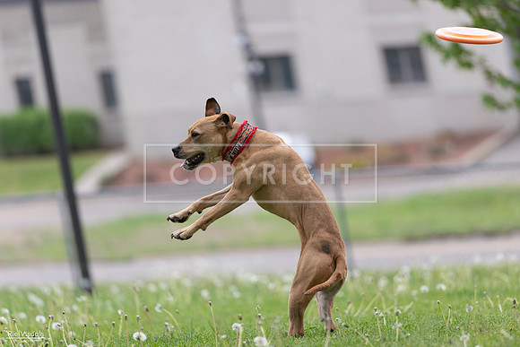 RielVisuals_20260518_175904_SJR_1930