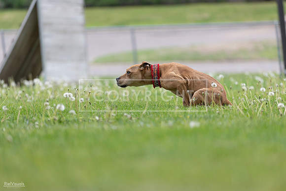 RielVisuals_20260518_175904_SJR_1939