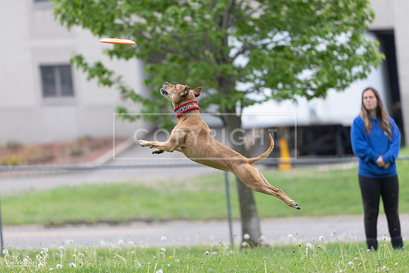 RielVisuals_20260518_175918_SJR_1940